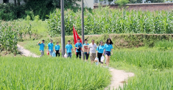 1500885755912017255.jpg 4.jpg